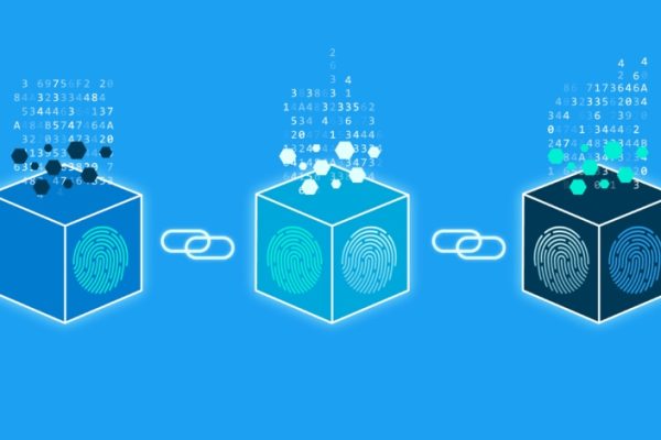 Dos bloques de Bitcoin minados con el mismo nonce: un evento inusual en la red