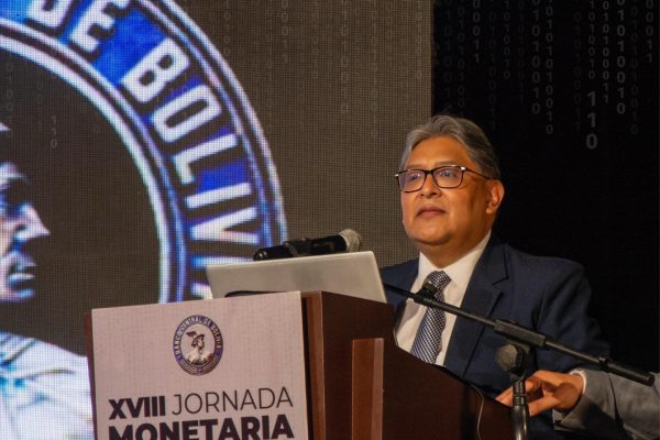 Bolivia se prepara para el lanzamiento de su moneda virtual: el «Boliviano Virtual»